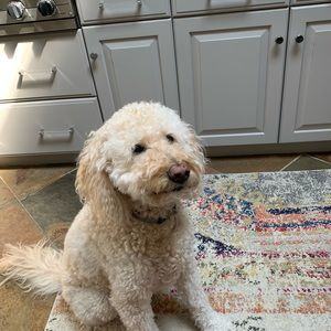 Meet your Posher, Michele